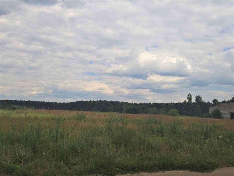 Продам участок 9 Га, бізнес, осг, нерухомість, с. Рудня