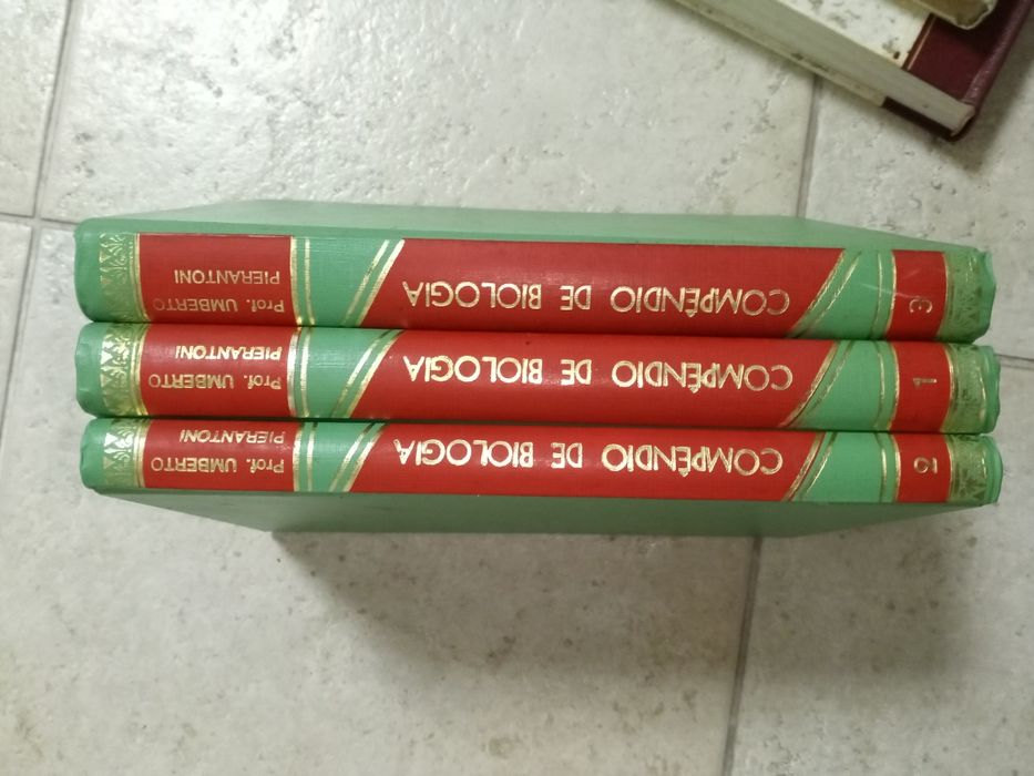 Lote livros variados impecáveis bom preço