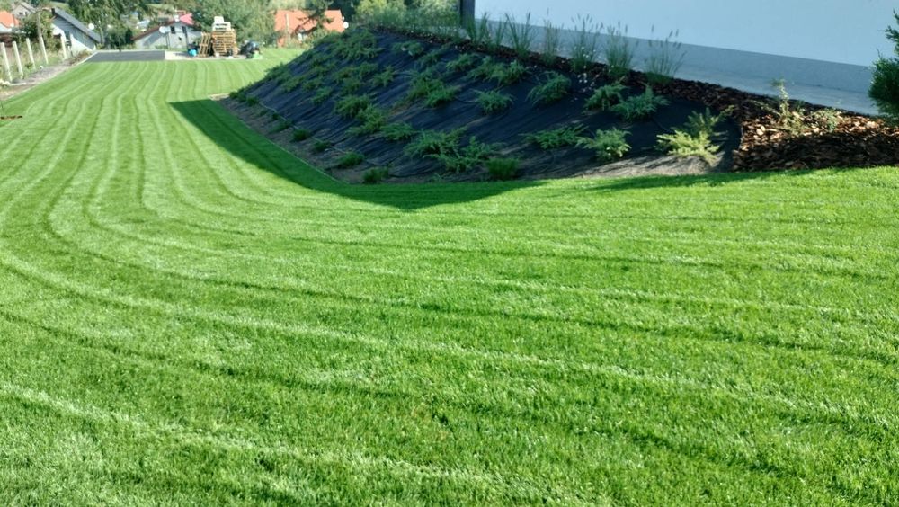 Zakładanie Trawników Usługi
