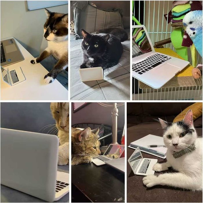 Mini Computador para Gato Cão Animais Brinquedo Interativo Espelho NOV