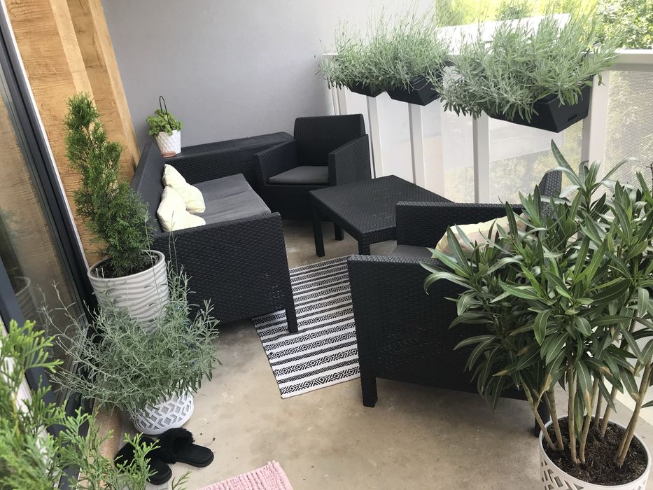 3 pokojowy, bezczynszowy apartament. BEZPOSREDNIO!