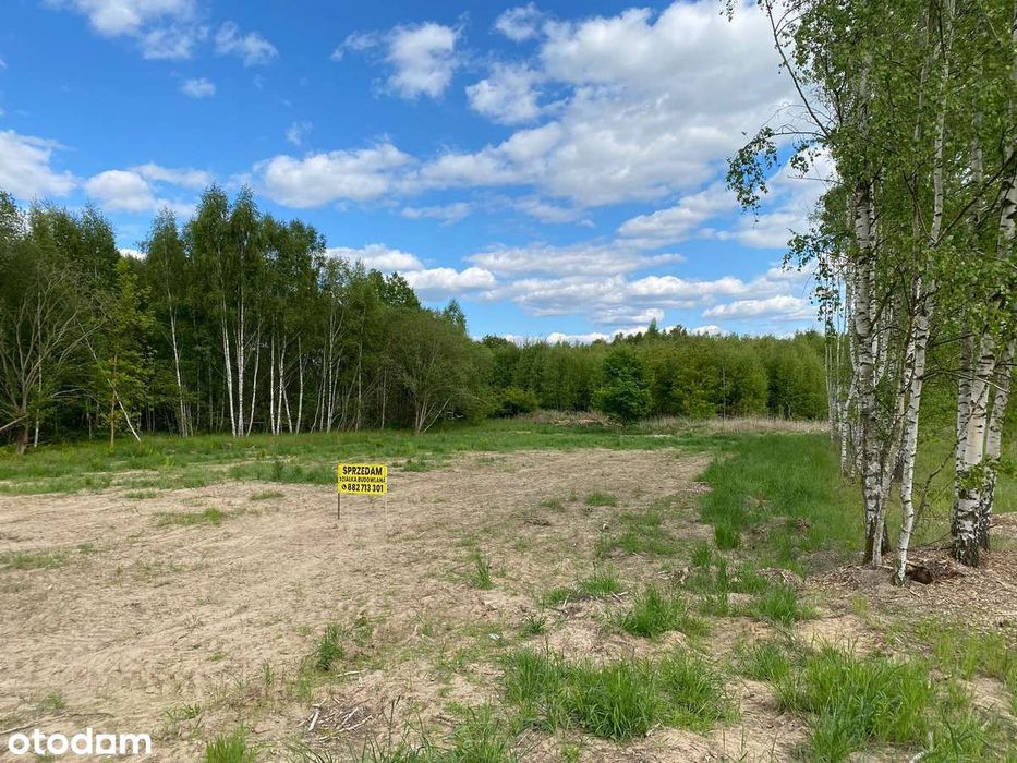 Działka budowlana nad jeziorem o powierzchni 2467 m² - Widok 5