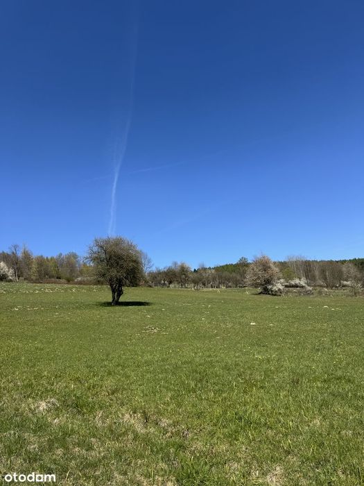 Działka budowlana Zawoja-Wełcza, widok na góry - Widok 4