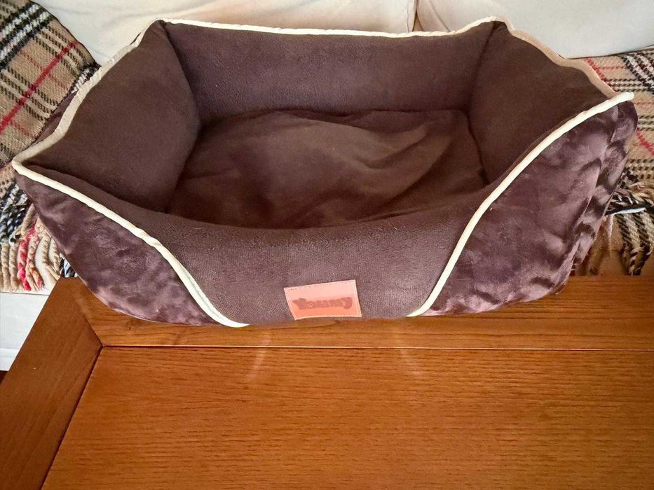 Duas camas  para animais, com oferta