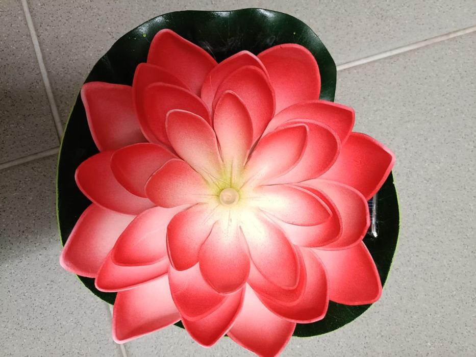 Nenúfar solar para lago