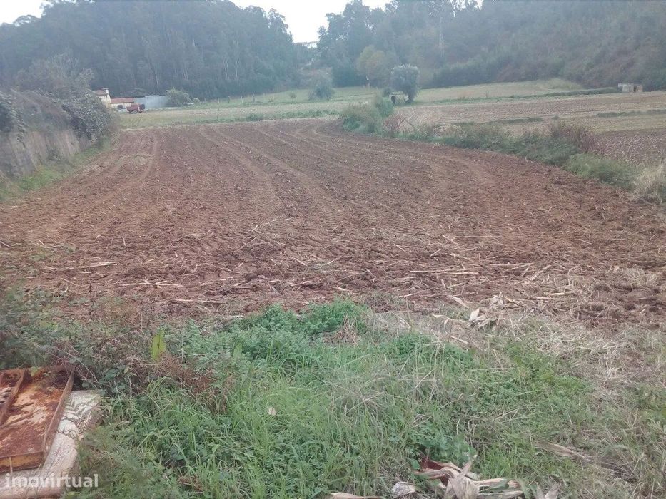 Terreno com viabilidade de construção em Oliveira de Azeméis — Vila de Cucujães, Aveiro