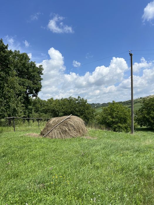 Продаж! Земля 50 сотих + будинок