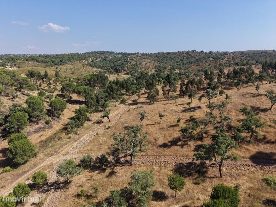 Rustic Land