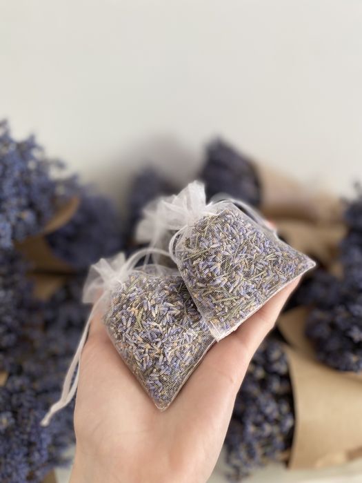 Бекетик із 101 гілочки лаванди та — ароматна казка, що дарує спокій