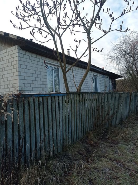 Будинок неподалік річки Десна. ЗРУЧНОСТІ. Село Гусавка.