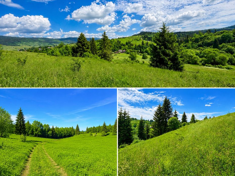 Фото ділянки