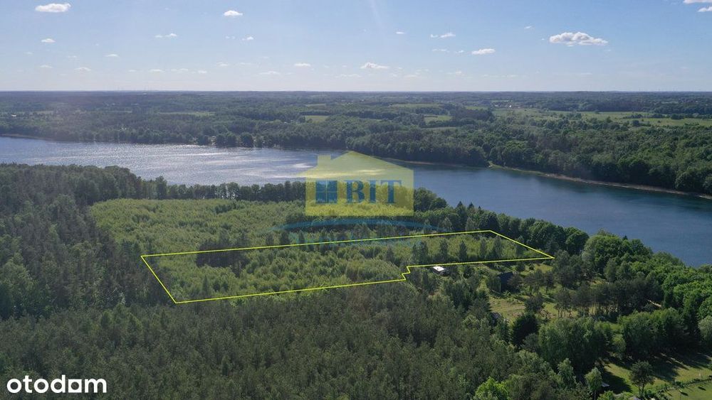 Działka 1,9968 ha nad jeziorem Siecino - Widok 4