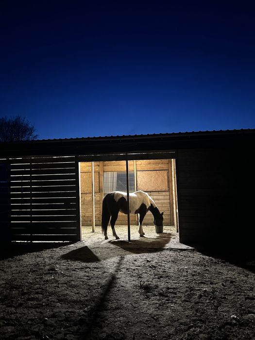 Warmia! Siedlisko na sprzedaż