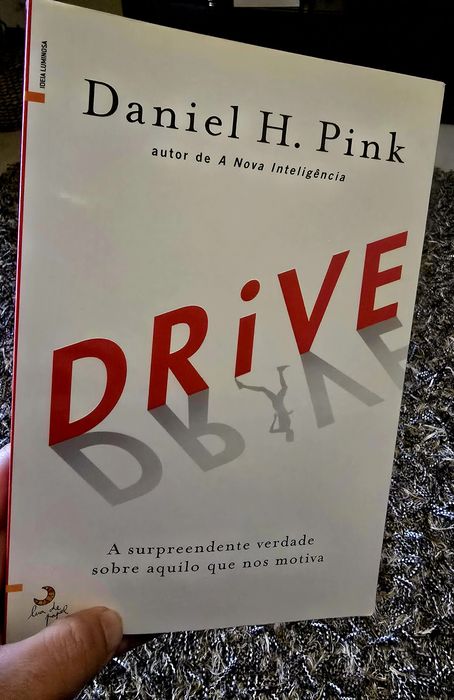 Drive: The Surprising Truth64564269527042122