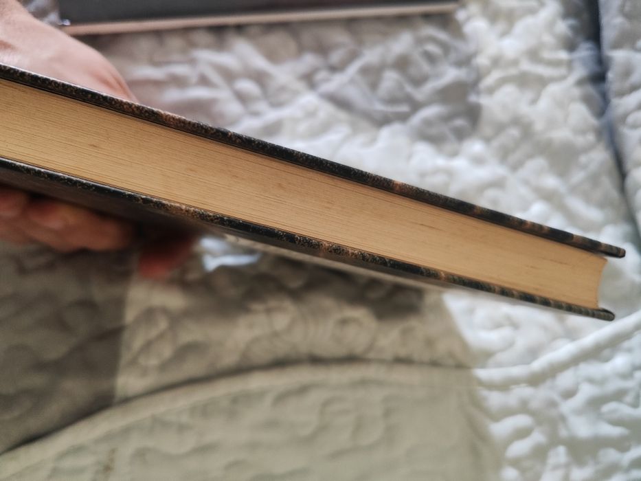 Balada da praia dos cães de José Cardoso pires