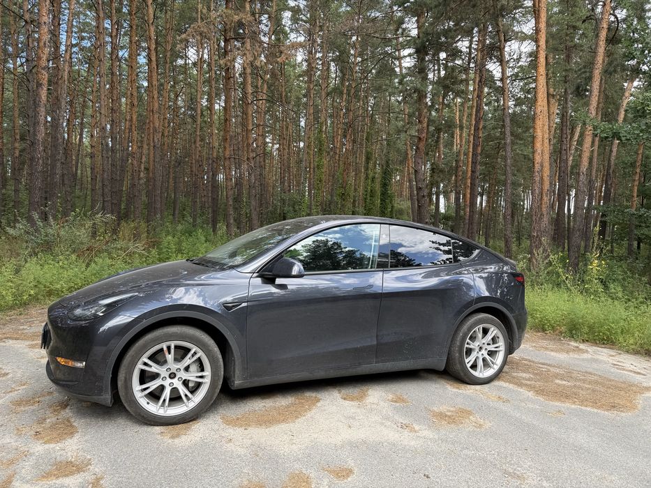 Tesla Y 2024 рік Особлива 7-місна Model Y