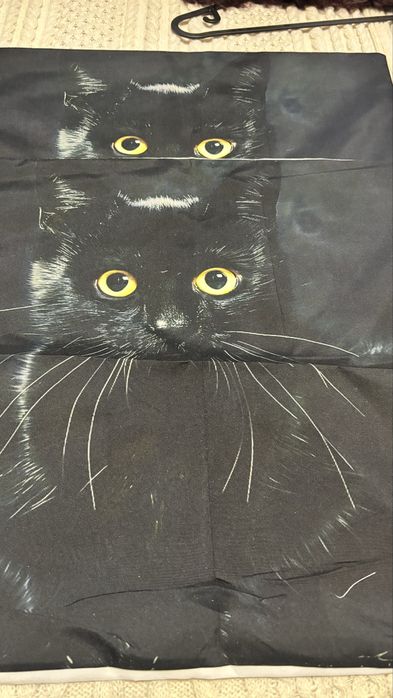 Czarny kot- 2xposzewka 50x50