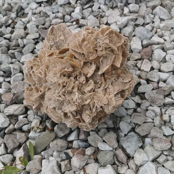 Kamienie Ogrodowe Ozdobne