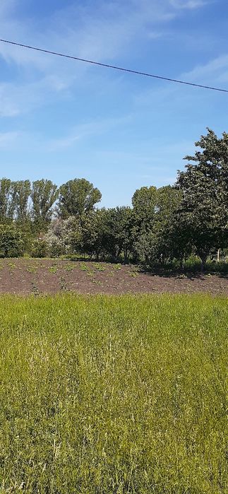 Продам земельну ділянку