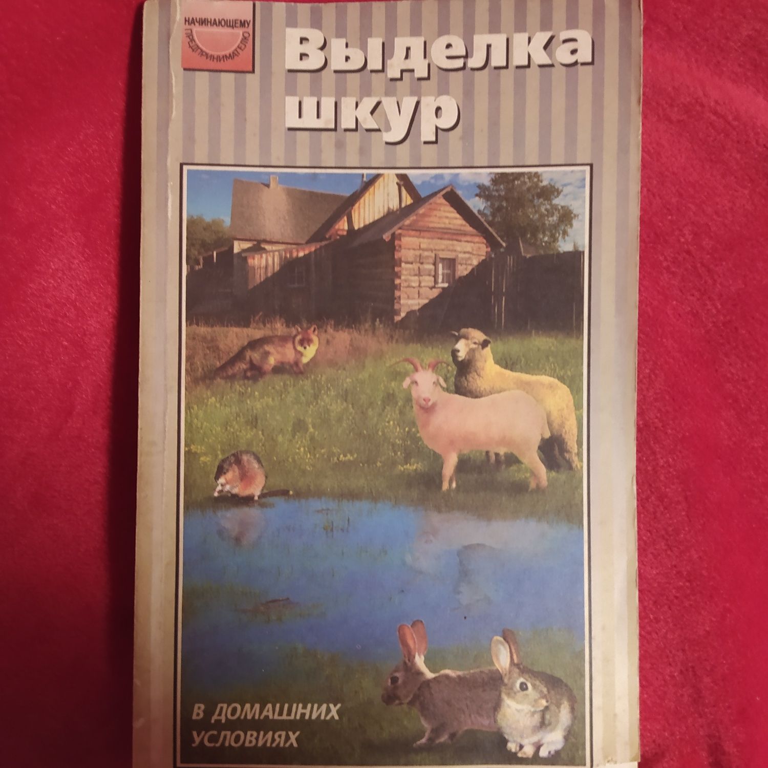 Про выделку шкур кролика в домашних условиях