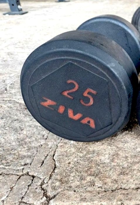Passadeira Eléctrica Squat Bumpers Halteres