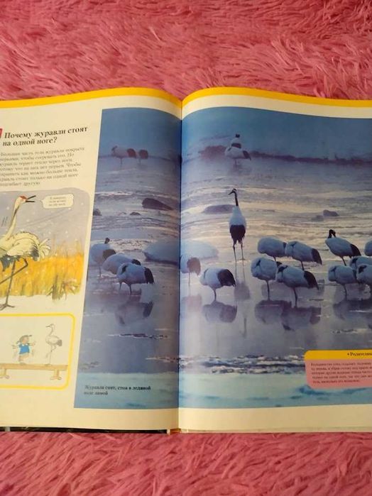 Моя первая энциклопедия