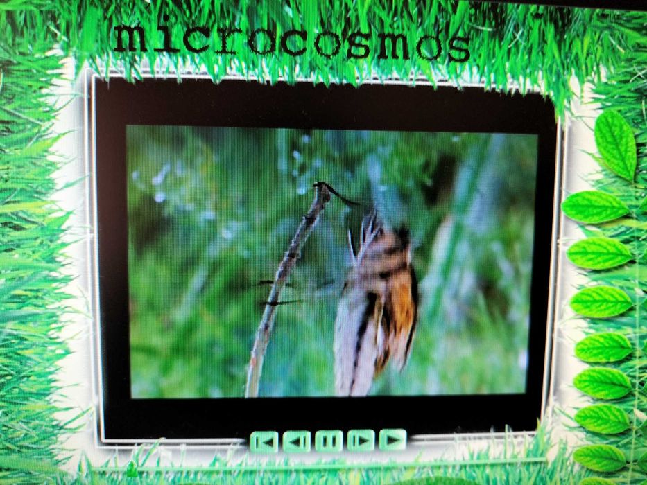Film Micro-cosmos