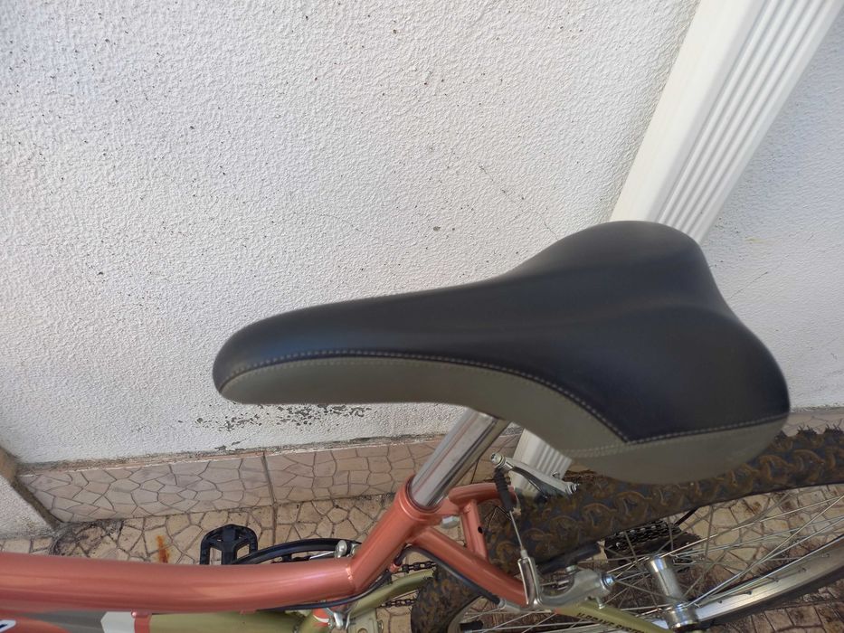 Bicicleta Adulto
