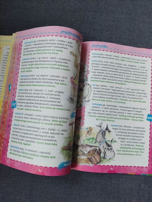 Ilustrowany słownik wyrazów obcych IBIS