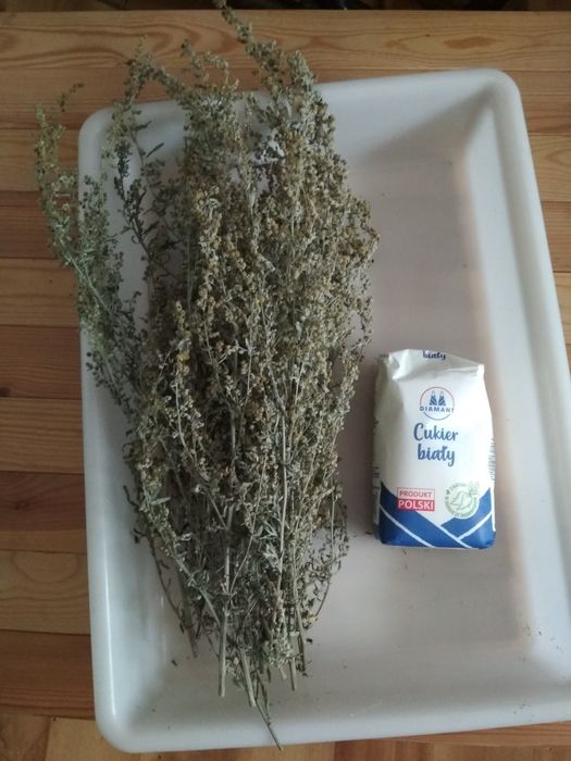 Bylica piołun artemisia absinthium 50g