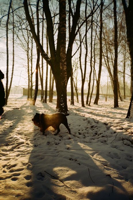 Olympus trip 301