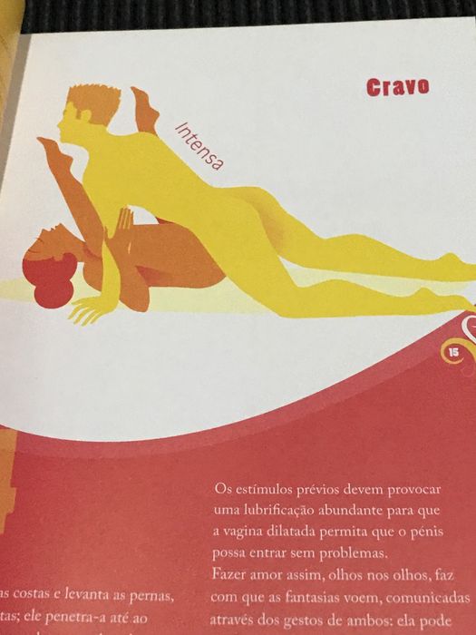 Livro Sexo + de 100 Posições