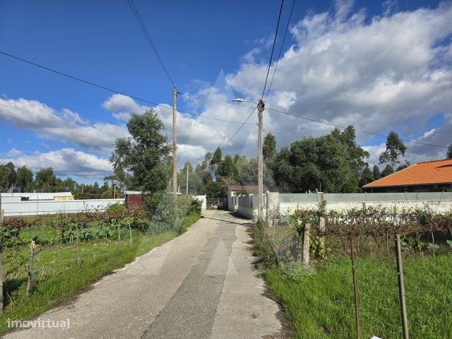 Terreno rústico em zona urbanizável, localizado em Cacia, Aveiro