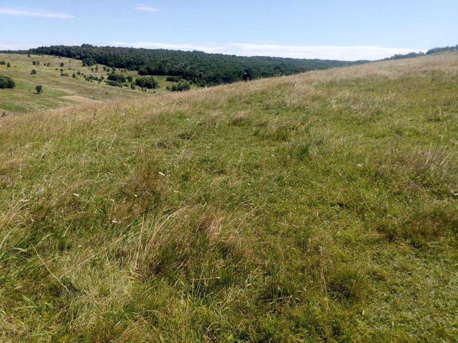 Продаж Земельної Ділянки с. Лани