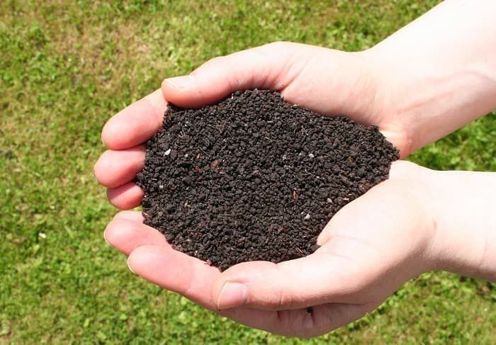 Біогумус биогумус :)