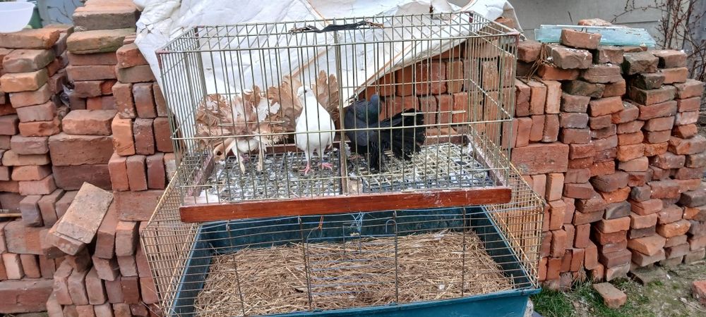 Sprzedam lub zamienie