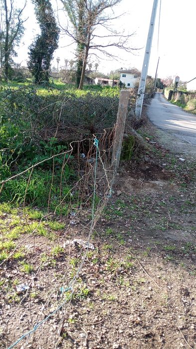 Limpezas de terrenos agrícola e florestais