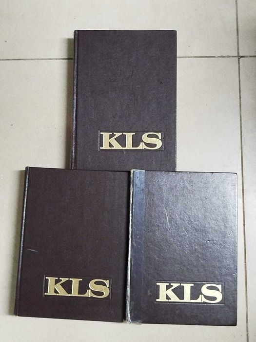 Dicionário Enciclopédico Koogan Larousse Seleções