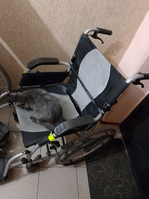 Коляска взрослая