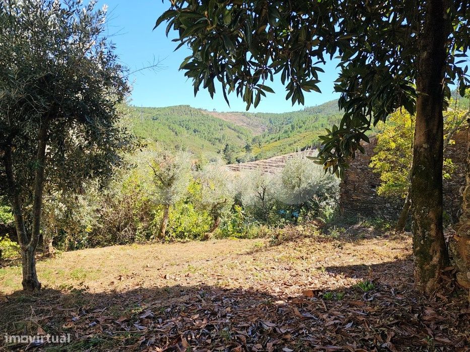 Moradia T3 Térrea com Garagem, Terraço e Logradouro