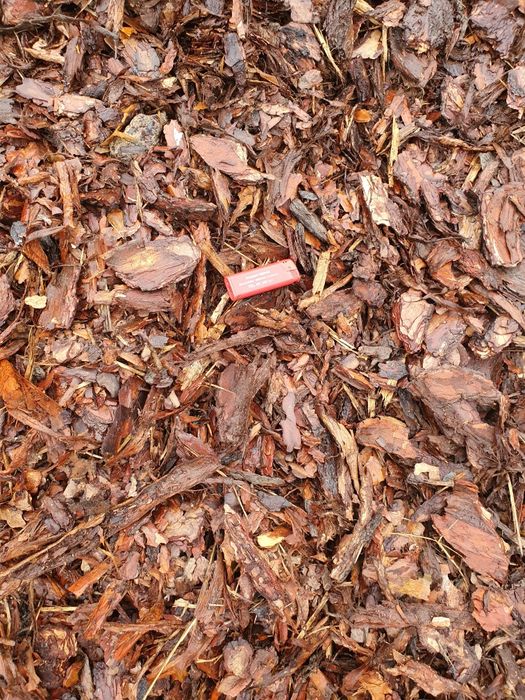 Kora sosnowa dekoracyjna ozdobna