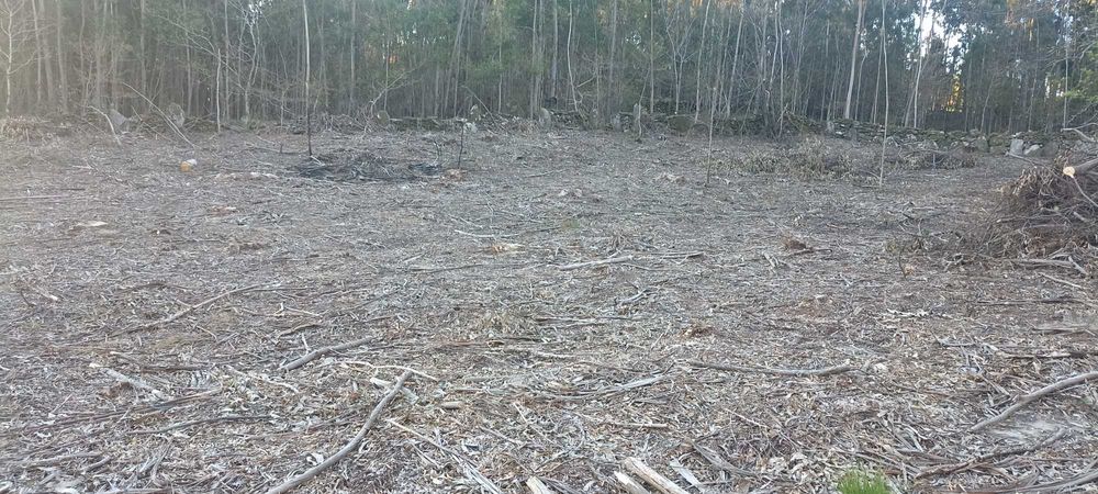 Terreno para construção