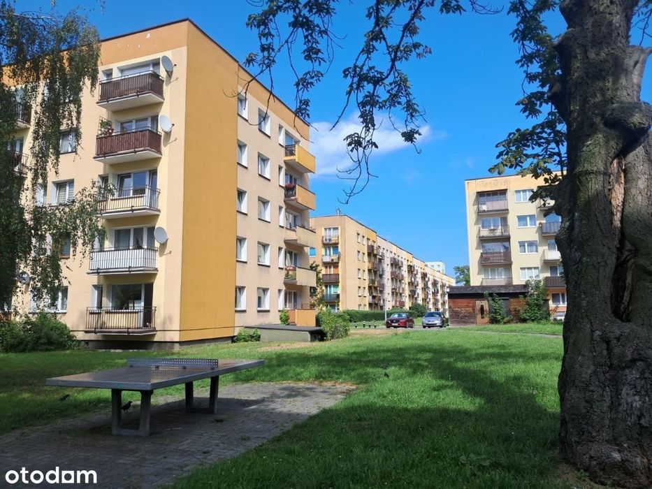 mieszkanie blisko parku