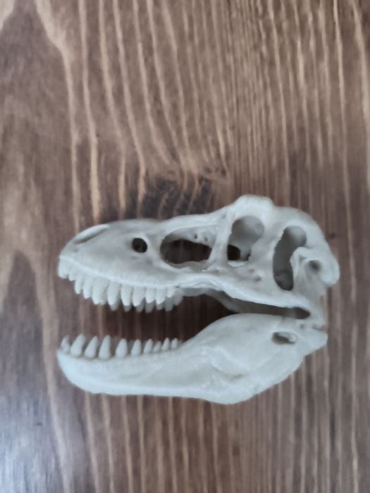 Czaszka do terrarium/akwarium