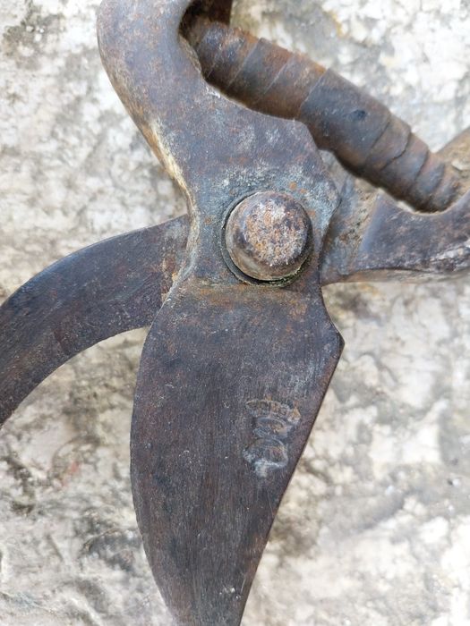 Antiga tesoura de podar