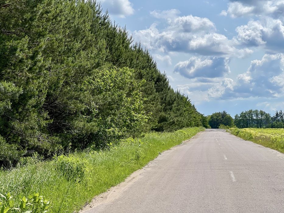 Велика земельна ділянка пай з лісом 16.37 га в Рівненській обл.