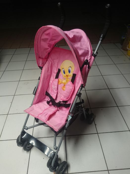 Carrinho de criança para menina.