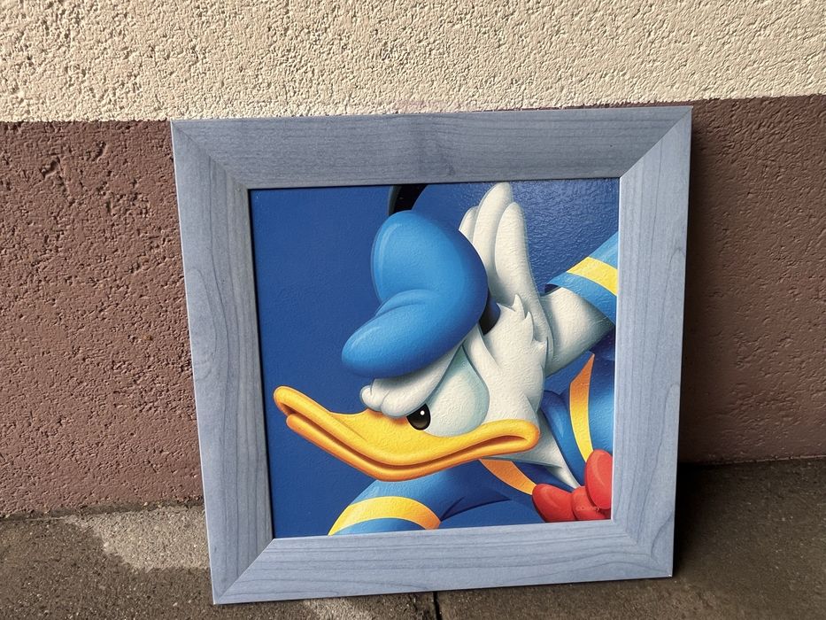 Obrazy Disney kaczor donald scienne