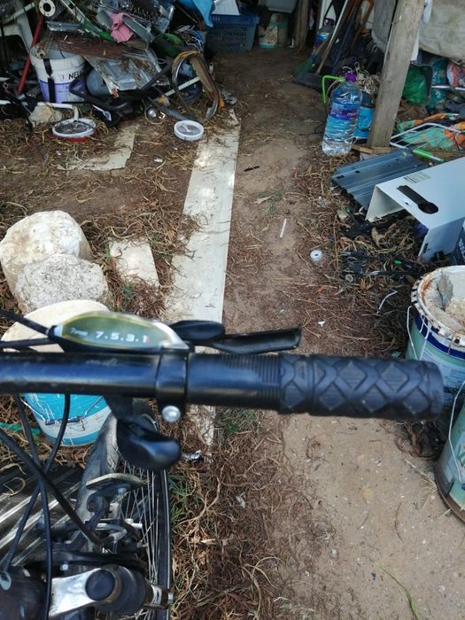Bicicleta KX  Sport 100