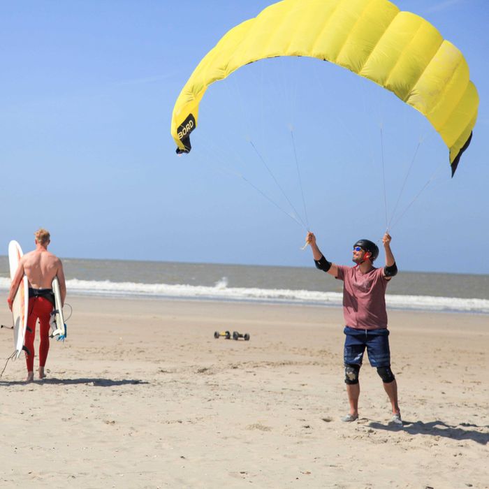 Kite Wing/Land Kite/Asas de Tração